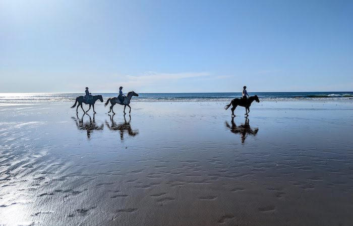 Riding horses on the beach